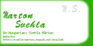 marton svehla business card